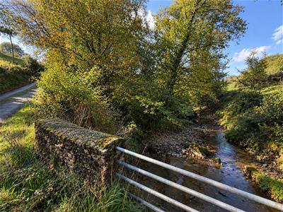 Picture 34